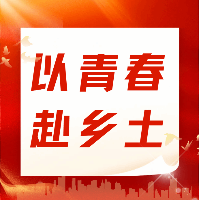 以青春赴乡土｜管理学院仲恺青禾·曾田甜百千万工程突击队实践纪实——墙绘点染村景，技术护航农业