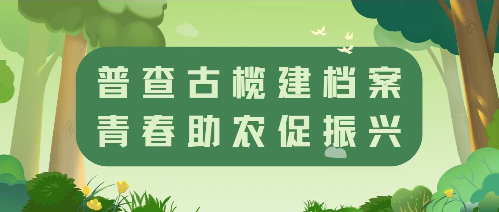 以青春赴乡土｜普查古榄建档案  青春助农促振兴——管理学院“三捻青行”百千万工程突击队实践纪实