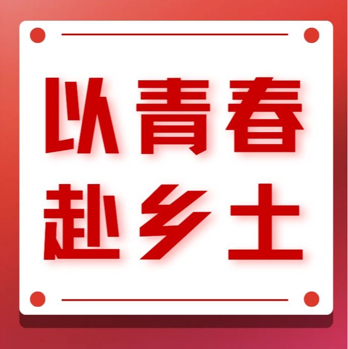 以青春赴乡土｜管理学院 “凤起平川・仲有爱” 百千万工程突击队直播赛冠军给平凤带货，你猜！会如何？