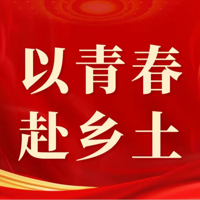 以青春赴乡土 | 管理学院仲恺青禾·曾田甜百千万工程突击队联合培训——校地联培赋新能，低空经济助振兴