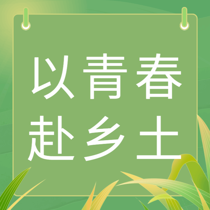 以青春赴乡土｜一堂行走的红色故事课，仲恺学子这样讲述国家资助故事