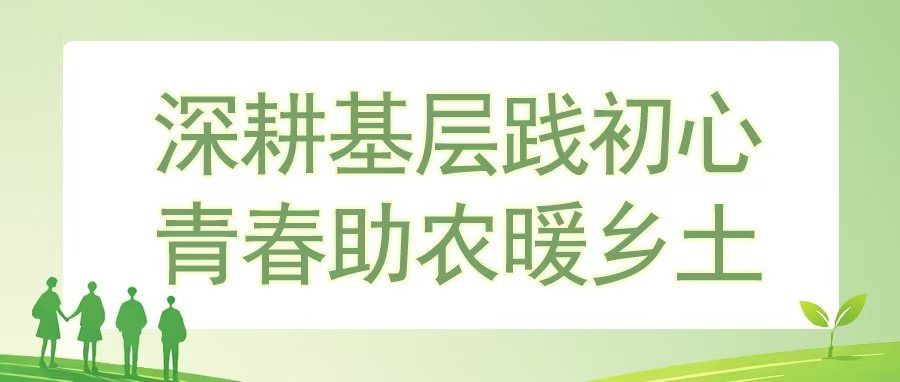 校地共话农旅新篇 青春赋能“百千万”征程
