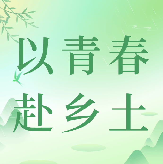 以青春赴乡土 | 管理学院