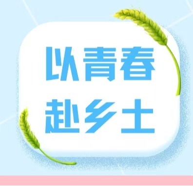 以青春赴乡土 | 管理学院“沃土三农”百千万工程突击队，田间地头勘地情，入户走访听民声