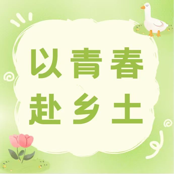以青春赴乡土 |普查古榄建档存史，青年笃行助兴乡土——管理学院三捻青行百千万工程突击队实践总结