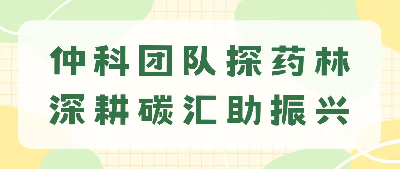 以青春赴乡土｜管理学院“碳减派•仲科行”百千万突击队仲科团队探药林，深耕碳汇助振兴