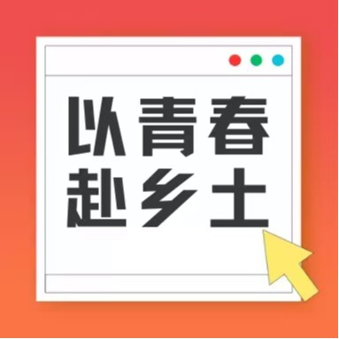 以青春赴乡土 | 沃土三农服务队出发！首日奔赴蛟塘镇，实地走访凤梨种植基地