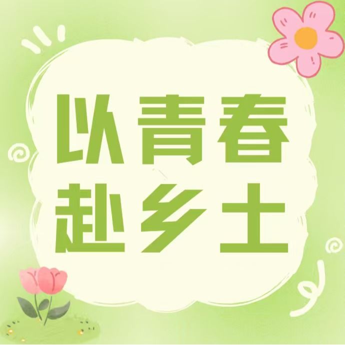 以青春赴乡土｜管理学院 “仲意绘影” 百千万工程突击队修缮墙绘焕新颜，IP 视频传乡情