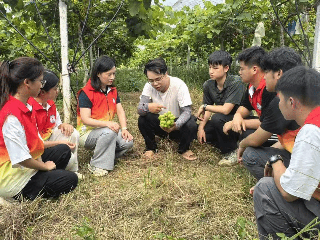 “百千万”正当时 | “菠萝兴农，甜享未来”突击队献策江川镇农文旅融合，调研报告获政府采纳