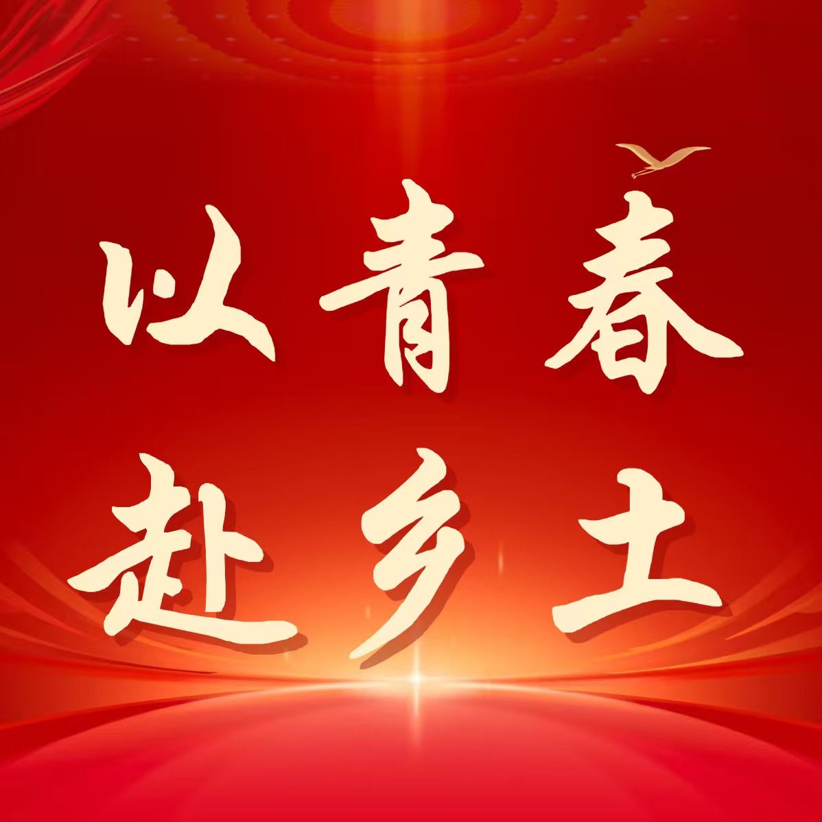 以青春赴乡土丨仲恺农业工程学院管理学院“仲墨丹青赤光”百千万工程突击队踏访赤光茶山，调研产业振兴