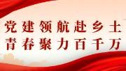 党建领航赴乡土 青春聚力百千万｜工商管理专业学生党支部暑期“三下乡”实践感悟