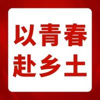 以青春赴乡土｜管理学院“凤起平川·仲有爱”突击队党建结对聚合力，校地共建启新程