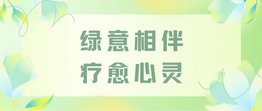 绿意相伴，疗愈心灵｜管理学院开展园艺疗法·手工盆栽DIY心理活动