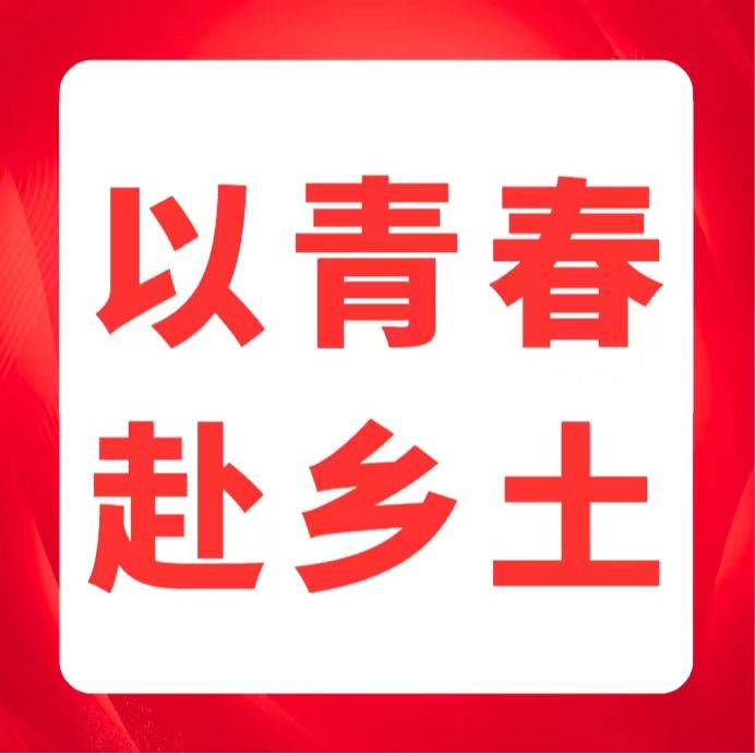 以青春赴乡土|追寻红色足迹，践行发展资助：仲恺学子赴平凤红色基地开展研学实践