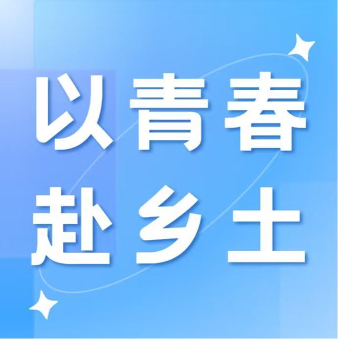 以青春赴乡土｜管理学院“马沥马洞服务组”百千万工程突击队开展 服务三下乡系列活动