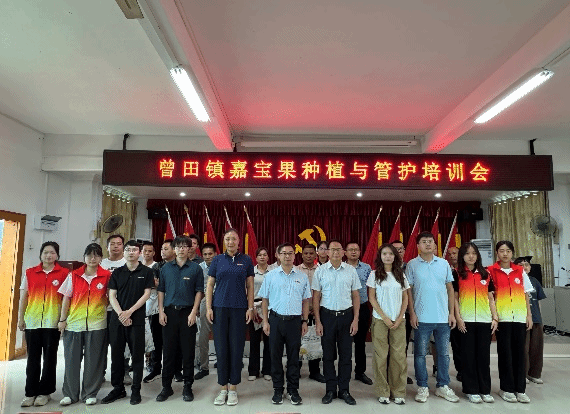 “百千万”正当时|专家齐聚曾田镇，共话嘉宝果致富经——“青禾”力量赋能曾田镇产业新突破