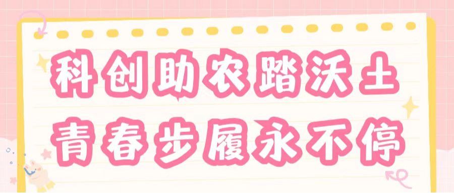 以青春赴乡土｜科创助农踏沃土，青春步履永不停——管理学院曾田科技特派员团队暨“仲恺青禾・曾田甜”百千万工程突击队实践纪实