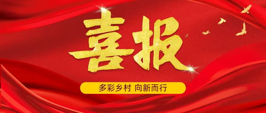 喜报｜管院学子在2025年“多彩乡村 向新而行”系列实践活动中斩获多项省级奖项