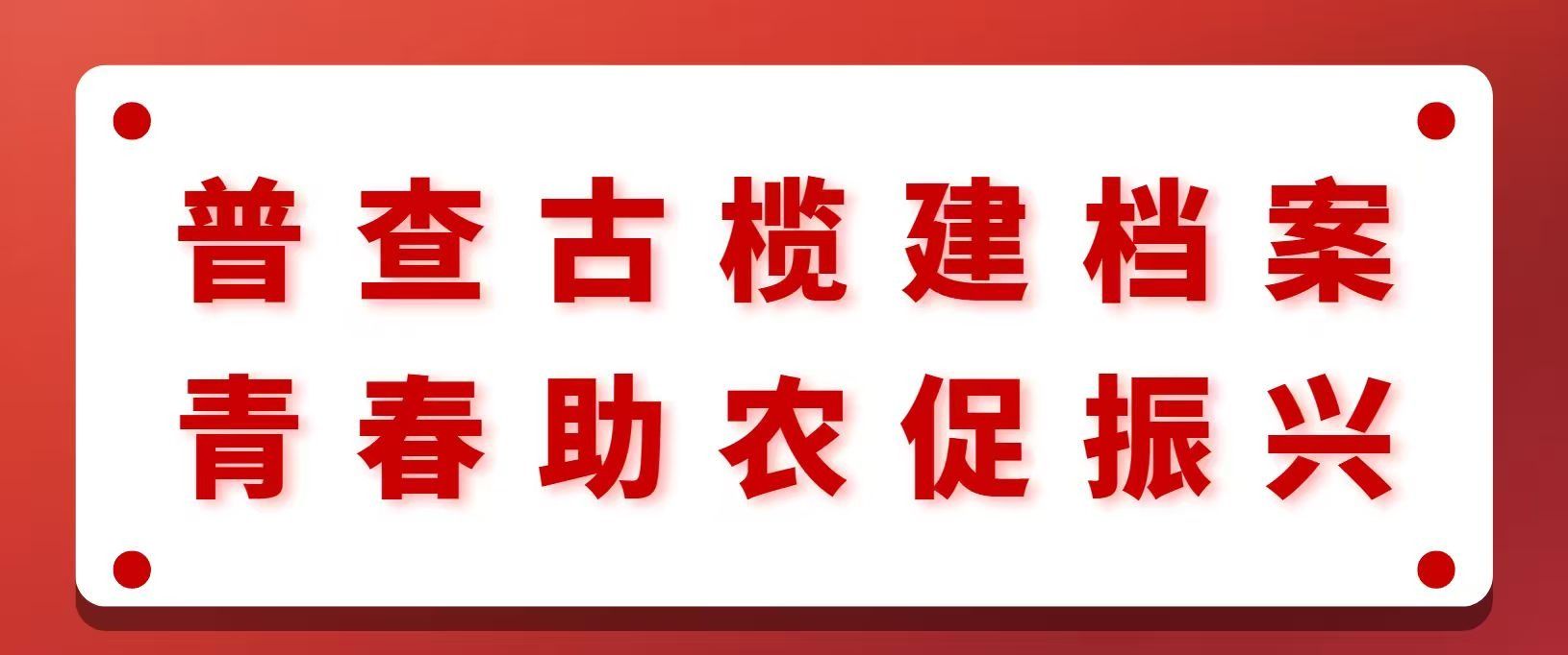  百年育桃李，榜样照青春 会计223陈元佳：初心如磐 竞学路，躬身百炼显担当