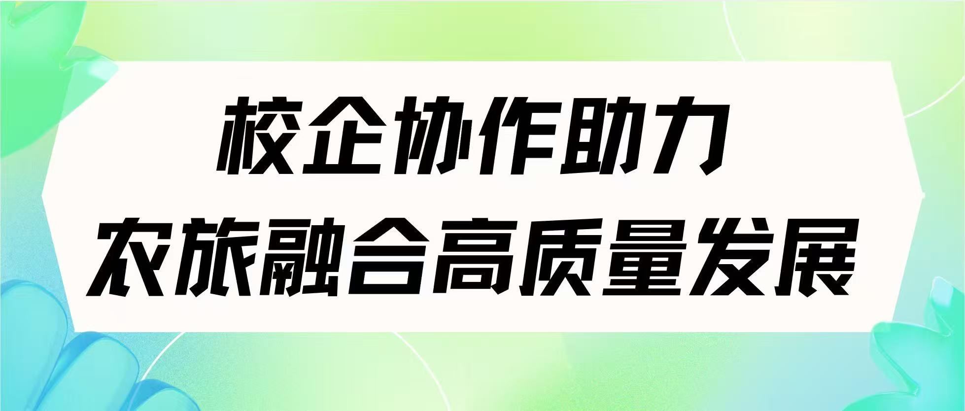 校企协作助力农旅融合高质量发展
