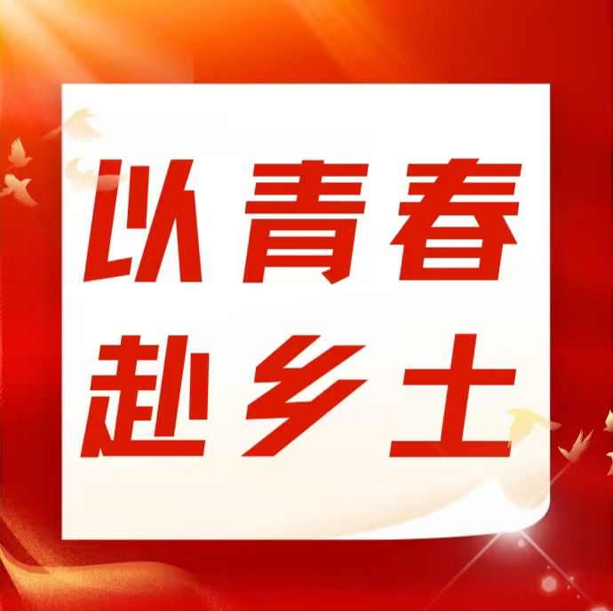 以青春赴乡土丨仲恺农业工程学院管理学院“仲墨丹青赤光”百千万工程突击队以丹青传茶韵，以调研守非遗
