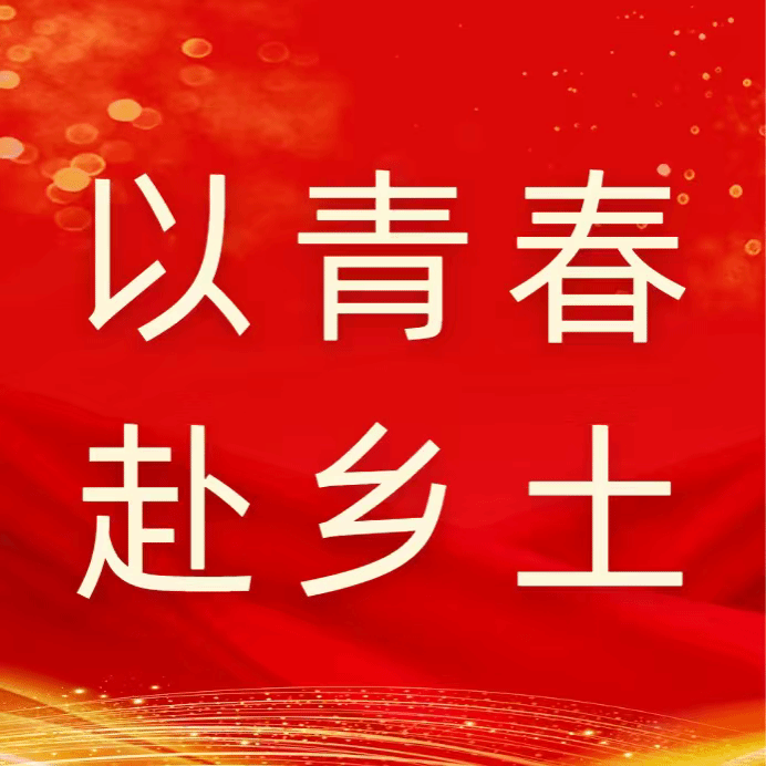 以青春赴乡土｜管理学院 “仲意绘影” 百千万工程突击队深耕乡村沃土，献礼百年校庆