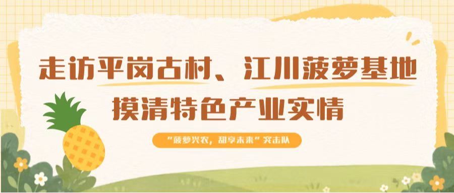 以青春赴乡土｜仲恺管院研究生突击队走访平岗古村、江川菠萝基地摸清特色产业实情