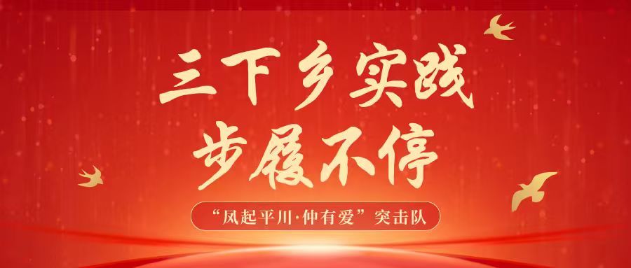 以青春赴乡土｜管理学院“凤起平川•仲有爱”百千万工程突击队“三下乡”实践步履不停