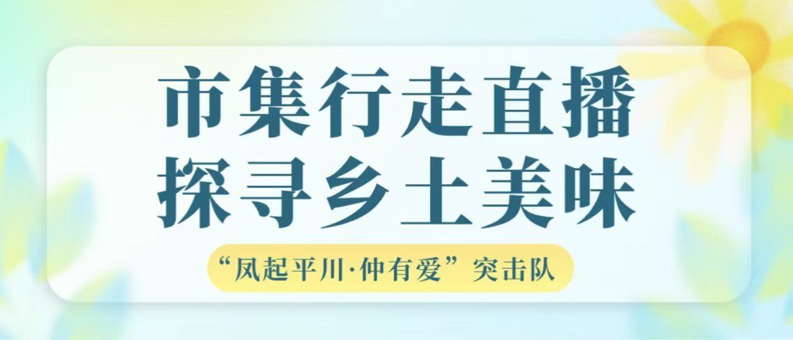 以青春赴乡土｜管理学院“凤起平川•仲有爱”百千万工程突击队市集行走直播 探寻乡土美味