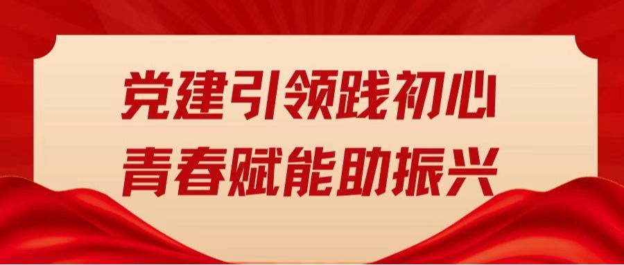 党建引领践初心 青春赋能助振兴｜工商管理专业学生党支部赴封开县平凤镇开展暑期党建实践暨三下乡活动