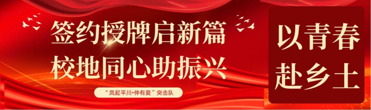 以青春赴乡土｜管理学院“凤起平川•仲有爱”百千万工程突击队走进封开平凤镇赋能乡村振兴