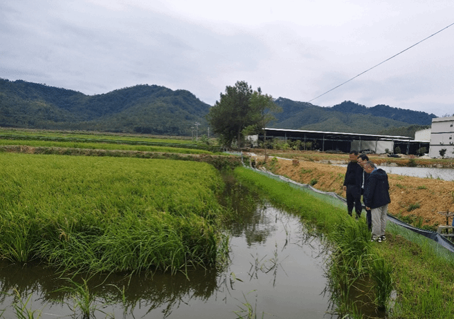 聚焦“双百”行动|管理学院农村科技特派员团队赴河源市田源镇开展科技帮扶活动