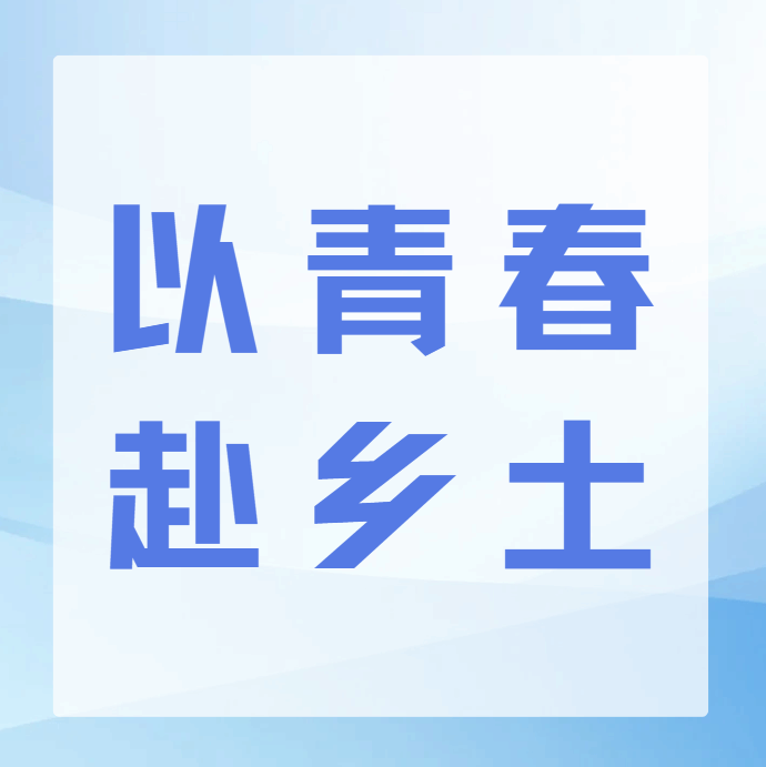 以青春赴乡土|管理学院“耕心筑梦服务队”百千万工程突击队深耕沃野践初心，青春赋能助振兴