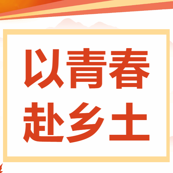 以青春赴乡土|管理学院